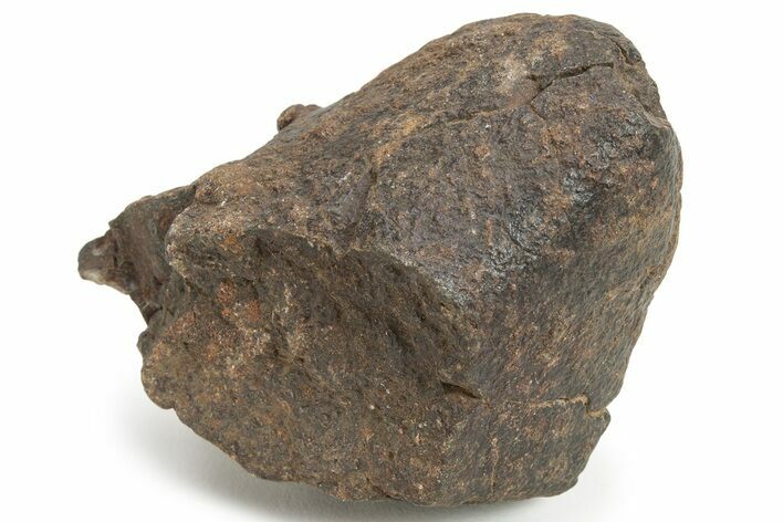 Chondrite Meteorite ( g) - Western Sahara Desert #232950